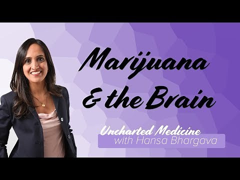 Marijuana and the Developing Brain: Current State of Evidence | Uncharted Medicine