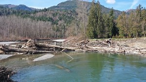 A new logjam has formed on the South Fork of the Nooksack River, according to the Washington State Department of Natural resources. The log jam is located on a portion of the river that is popular for recreation during the warm seasons. | The Bellingham Herald | Facebook