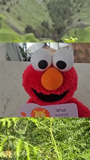 Elmo Teaches The Sound a Lion Makes 🦁 #animalsounds #toddler #elmo #learning