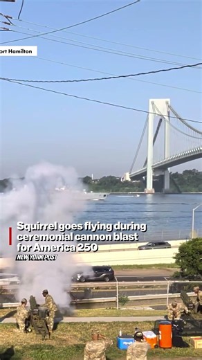 Squirrel goes flying during cannon blast for America 250, but sticks impressive landing #shorts