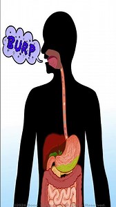 Burping | Eructation | Animated Short |