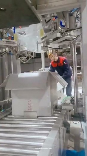 ボックスバッグの自動大きなビニール袋挿入機梱包ラインを挿入する