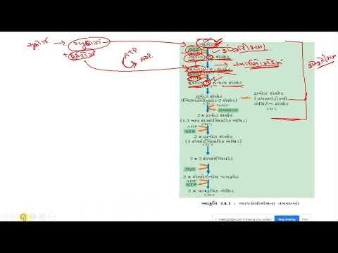 Biology for 11th and 12th Gujarati and English Medium