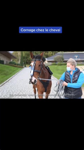 Découvrez le Cornage: Vidéo Explorative