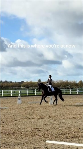 Learning how to ride horses as an adult 🐴 #dressage #equestrian