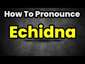 How To Pronounce Echidna? (CORRECTLY) Meaning & Pronunciation
