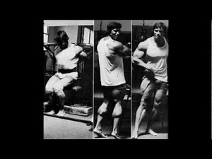 The Legend Of Arnold Schwarzenegger Gold s GYM Tribute