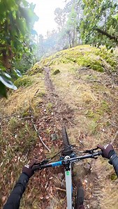 Natural Island tech: this trail starts with a cool natural rock shelf and stays fun the rest of the way down 👌🏼 📍Trail: Prybar • @transitionbikes @vorsprungsuspension @noblwheels @akta_mtb @schwalbe_mtb @lewisbike_official @dunbarcycles @rndm.company • #vancouverisland #enduromtb | Dean Tennant