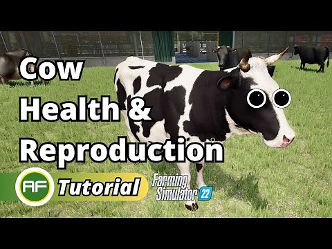 Cow Health, Productivity and Reproduction In Farming Simulator 22