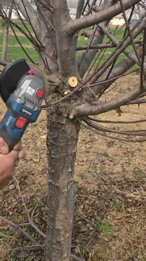 Very sharp wooden Saw blade for power tool.Wholesale!