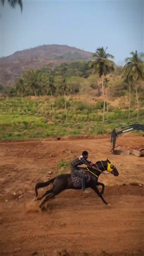 ʀᴏᴜɢʜ ʀɪᴅᴇʀꜱ💥 | ᴩʟᴏᴛ ᴛᴡɪꜱᴛ : ᴍᴇᴇᴛ ᴛʜᴇ ɴᴇᴡ ᴍᴠᴩ. . . . . #horse🐴 #horseriding #horsepower #horserace #dheera #instagram #horsepower | Instagram