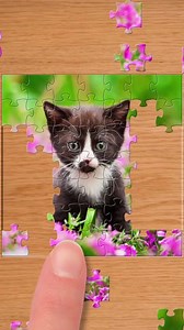 💆THE MOST RELAXING PUZZLE GAME! ✔️20,000 puzzles ✔️Amazing HD pictures ✔️50 million players ✔️Relax and solve puzzles | Jigsaw Puzzle