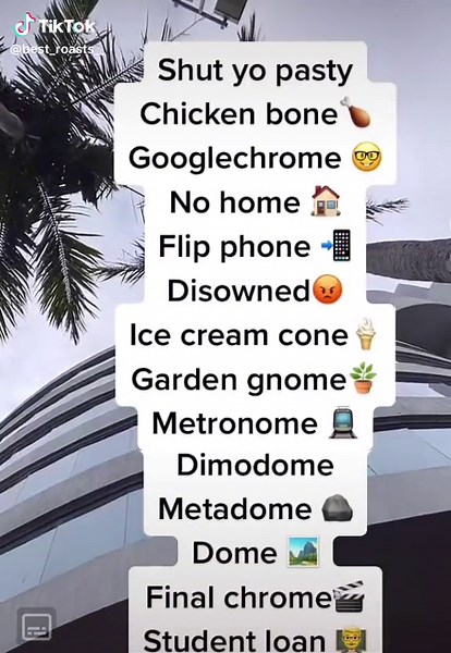 Best_roasts on TikTok