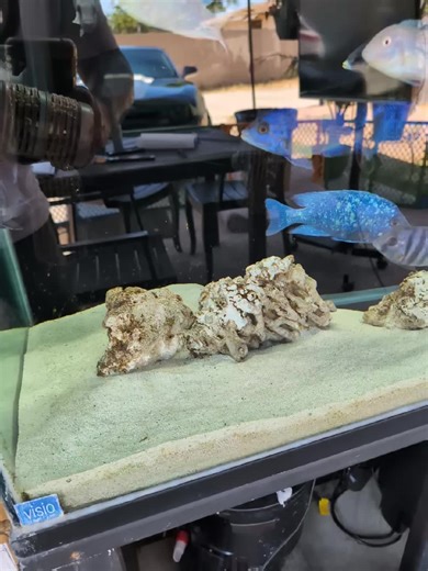 Big Al (@rvtripper)’s videos with Ten Years Gone (Remaster) - Led Zeppelin