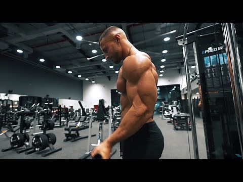 Shoulders & Arms | My New Training Split (Day 6/6)