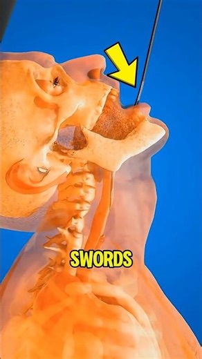 Ever Wonder How Magicians Really Swallow Swords?