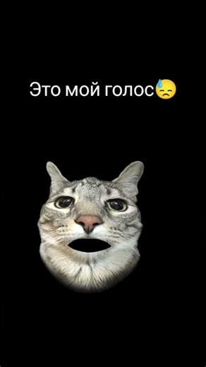 25 марта 2026 г.