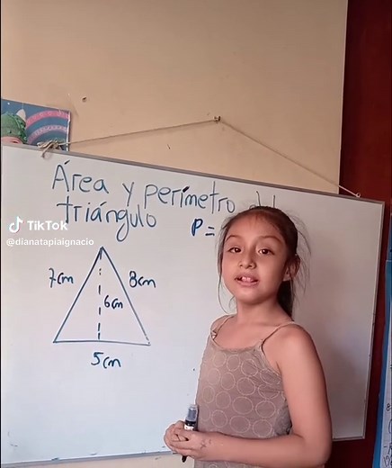 Área y Perímetro del Triángulo: Cálculo Fácil