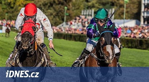 Po deseti letech má Zhoř vítěze Velké pardubické, pamlsky ale Godfrey nedostává - iDNES.cz