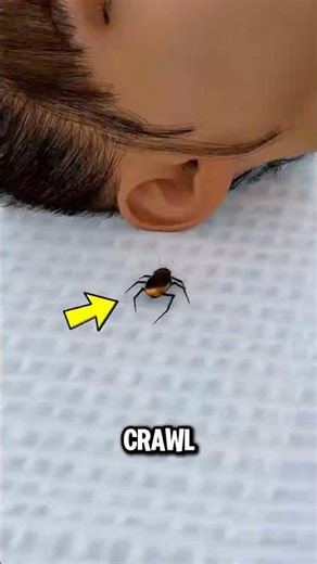 What If a Bug Gets in Your Ear 😱