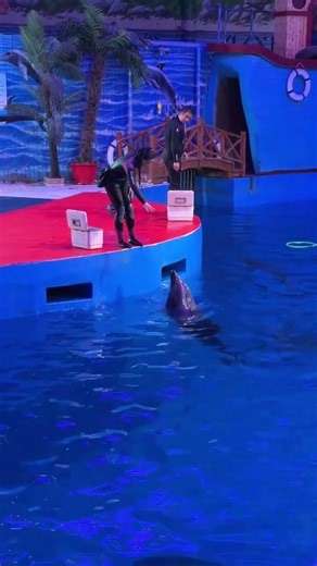 #HaiquHuaduOceanWorld #HaiquHuaduOceanWorldSpringOutingSeason #Let'sGoToTheAquariumForYourNextDat...