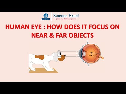 Human Eye : How does it focus on near & far objects | Science Excel