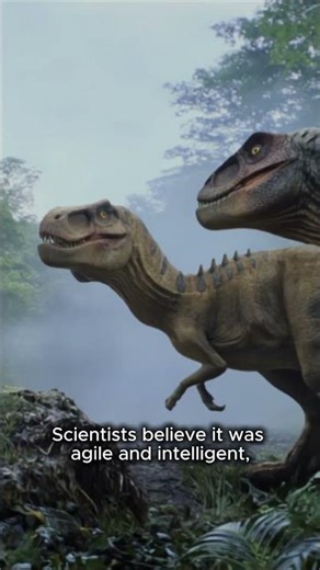 Velociraptor - small, fast, intelligent #dinosaur #velociraptor #prehistoric #jurassic #education