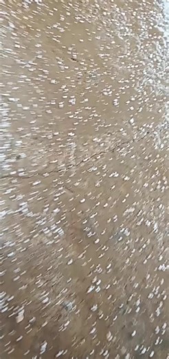 Urban Rainstorm: Captivating Raindrop Patterns