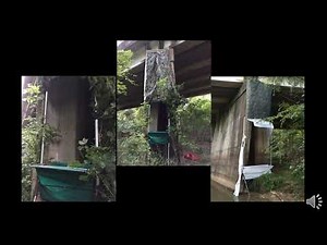 Bat Research Techniques: Harp Traps