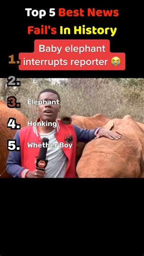 Best News Fails