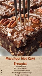 17K views · 77 reactions | Mississippi Mud Cake Brownies | Cakecrafted Recipes | Facebook