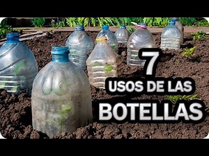 7 Usos INCREÍBLES De Las Botellas De Plástico En El Huerto O Jardín || La Huertina De Toni