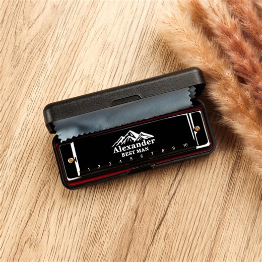 Custom Stainless Steel Diatonic Harmonica, 10 Holes C Key Beginner Blues Harmonica for Kids Children Adults Students, Birthday Gift - Etsy