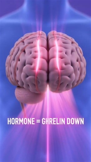 Khaane ke baad bhook kyun gayab ho jaati hai? 🤯 Pet nahi, brain signal karta hai! 🧠🍽️