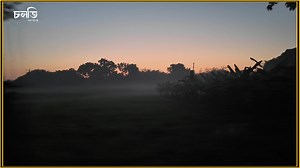 5.2K reactions · 112 shares | বাজারের ভেজাল গুড় খেয়ে বিরক্ত? এবার...