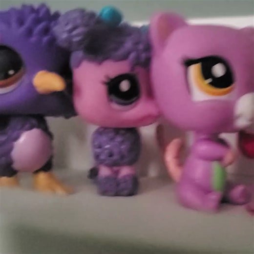 lps rainbow shelf 🌈