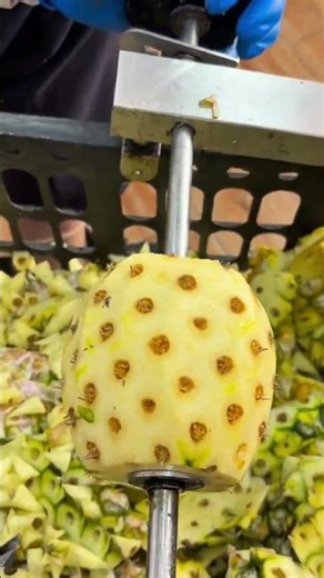 Effortless pineapple peeling and coring process using a high speed specialized industrial machine