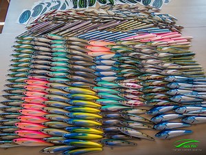 Let's have another look at all this Jack Fins with a video... soon at Ebb Tide Tackle ! Diamo un'altra occhiata a tutti questi Jack Fin con un video... presto disponibili da Ebb Tide Tackle ! | Jack Fin - official