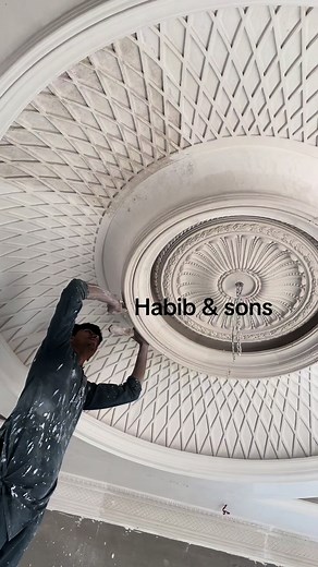 Habib & sons false ceiling on TikTok