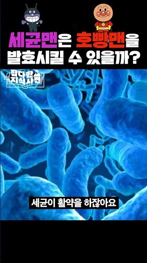 '세균'과 '균류' 구별하기