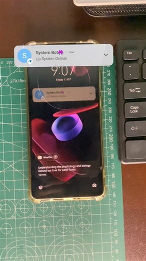 System Online ✅ Telegram bot successfully deployed — free and fully functional. Stay Tuned….. #diyprojects #nodemcu #IoT #pirsenso | Tharindu Heshan