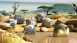 Funny Fat Animals Short Films by Rollin Wild Animal Cartoon