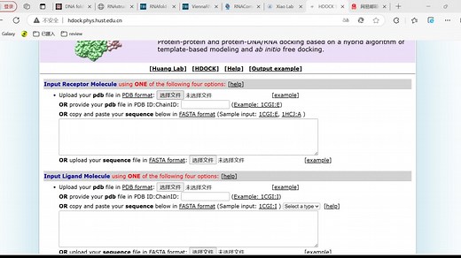 Hdock 适配体分子对接