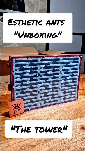 Unboxing from Esthetic ants! BIGGEST nest so far!