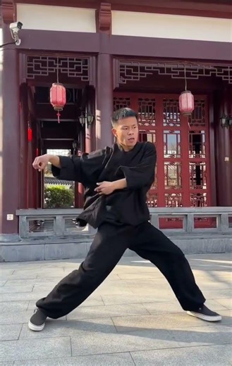 The Elastic Power of Kung Fu: Bouncing Force for Strikes