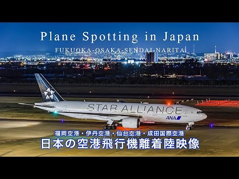 Plane Spotting at Japanese Airport 2 | Airplane Landing & Take off