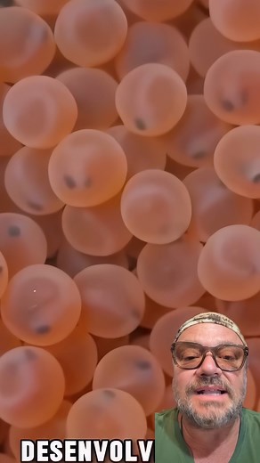 226K views · 10K reactions | Como funciona a REPRODUÇÃO do SALMÃO? #peixes #pesca #animais #biologia | Richard Rasmussen | Facebook