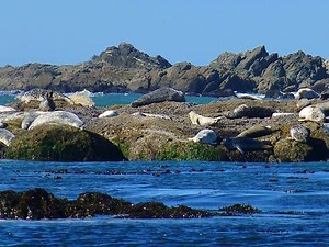 Oceanic crust - Alchetron, The Free Social Encyclopedia