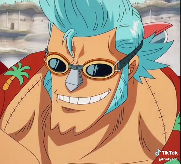 Exploring Frobin: Robin and Franky's Journey in One Piece