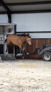 33K views · 622 reactions | Trailer loading can be a difficult thing...